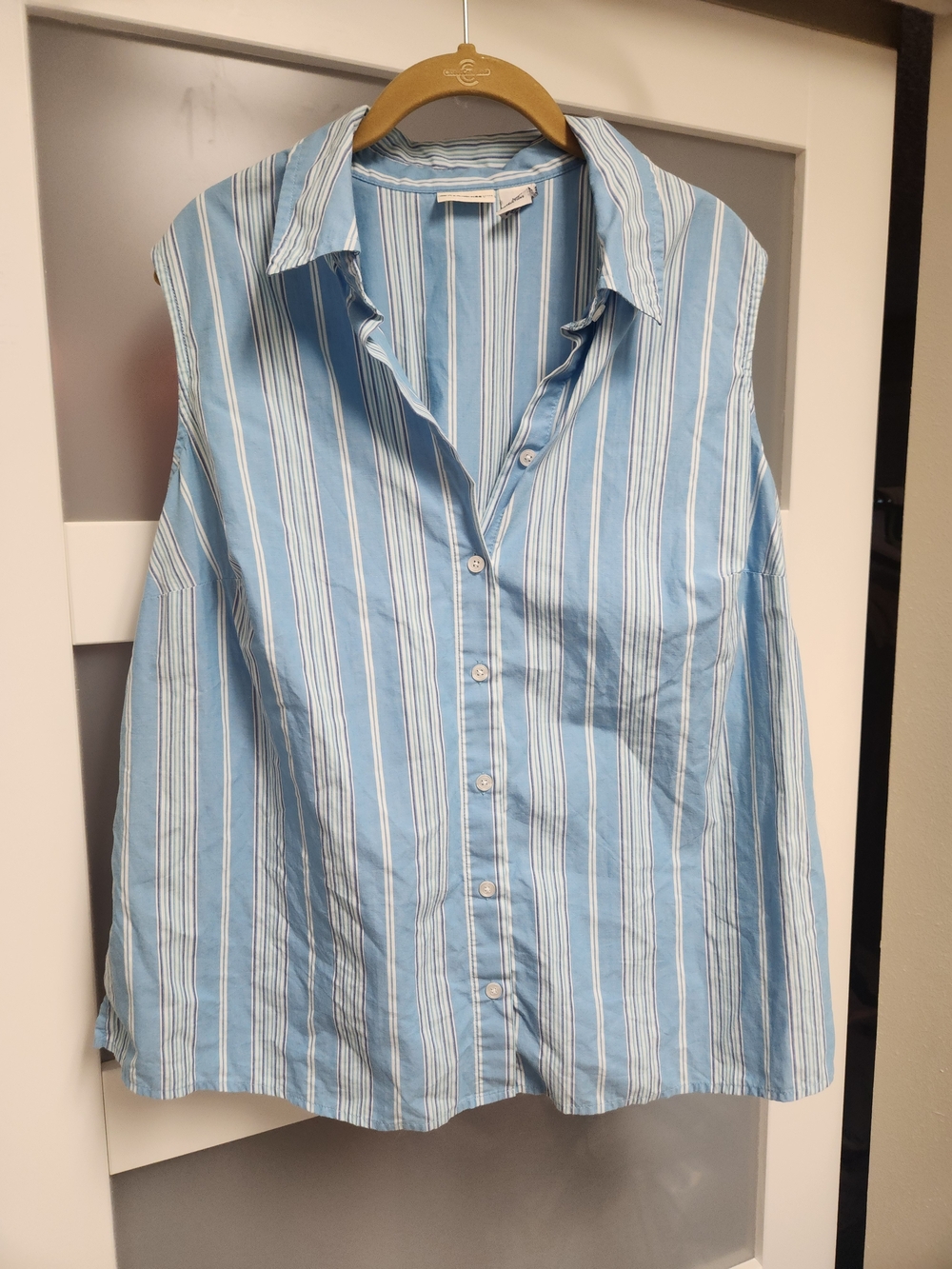 Cherokee Blue and White Striped Sleeveless Button-Down Shirt